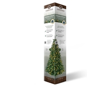 Presentation colomn es-it-po-no cardboard
