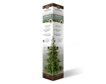 Presentation colomn es-it-po-no cardboard