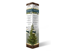 Presentation colomn es-it-po-no cardboard