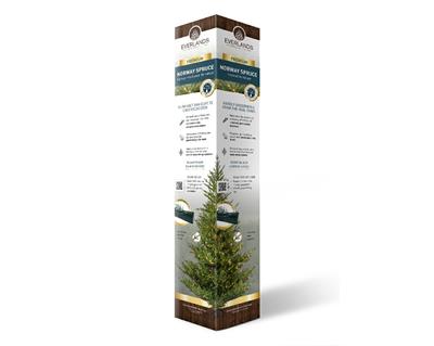 Presentation colomn es-it-po-no cardboard