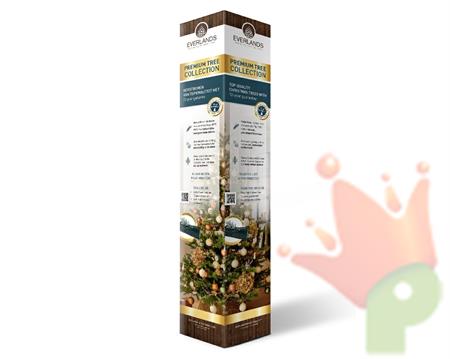 Presentation colomn es-it-po-no cardboard