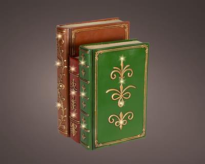 LIBRI MULTICOLOR CON LED 15,5X18,5X27CM