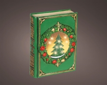 LIBRO VERDE CON LED 6,5X16,5X22CM