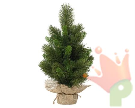 MINI ALBERO EDMONTON SPRUCE 60CM