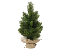 MINI ALBERO EDMONTON SPRUCE 60CM