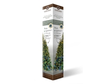 Presentation column it cardboard