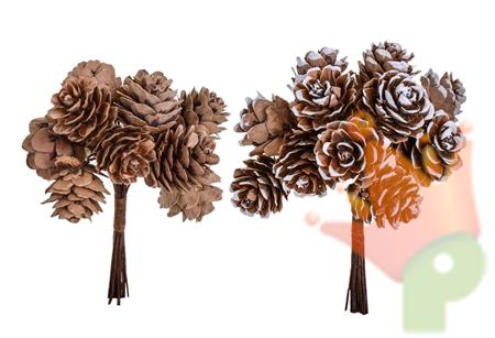 MAZZETTO DI MINI PIGNE 15CM 12PZ 2ASS