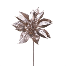 STELLA DI NATALE CHAMPAGNE 9CM