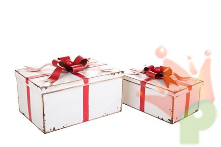 SCATOLE REGALO IN FERRO BIANCO CON FIOCCO 27X18CM 2PZ