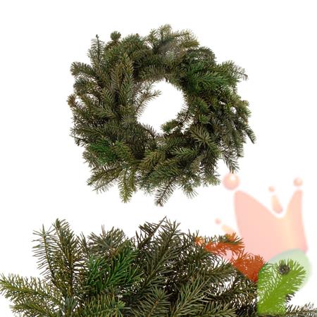 GHIRLANDA FUORIPORTA ABETE PRESERVATO VERDE 40CM