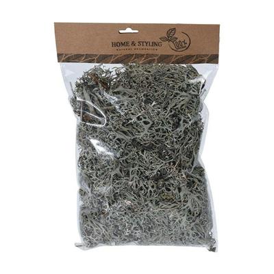 MUSCHIO GRIGIO 100GR