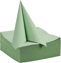 TOVAGLIOLI VERDE SALVIA 40X40 50PZ