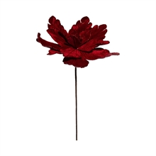 FIORE STELLA DI NATALE CON RAMO IN VELLUTO ROSSO 55CM