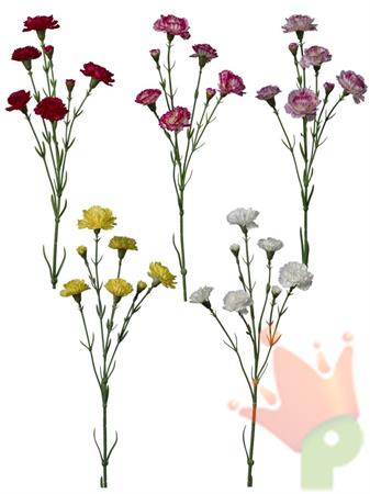 RAMO GAROFANELLA ASSORTITI
