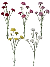 RAMO GAROFANELLA ASSORTITI