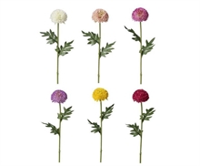 RAMO POM POM 56,5CM 6ASS