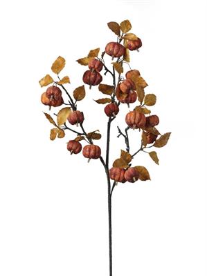 RAMO CON ZUCCHETTE ARANCIO 86CM