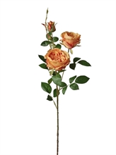 RAMO ROSA INGLESE ARANCIO 81CM