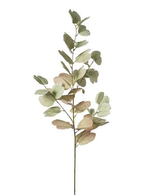 RAMO EUCALIPTO VERDE 118CM
