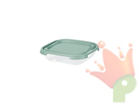 FRIGO BOX QUADRATO SERENA VERDE SALVIA 0.5L