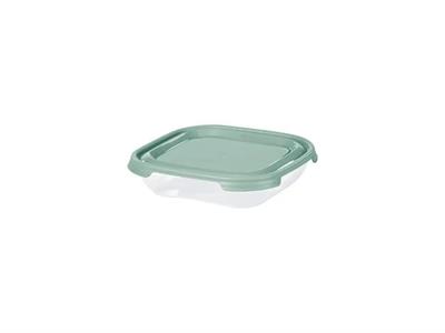 FRIGO BOX QUADRATO SERENA VERDE SALVIA 0.5L
