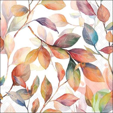 TOVAGLIOLI FOGLIE COLORATE 33X33CM 20PZ