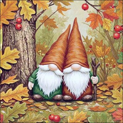 TOVAGLIOLI GNOMI NELLA FORESTA 33X33CM 20PZ