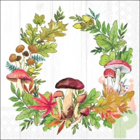TOVAGLIOLI GHIRLANDA CON FUNGHI 33X33CM 20PZ