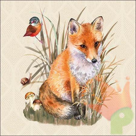 TOVAGLIOLI CON VOLPE 33X33CM 20PZ