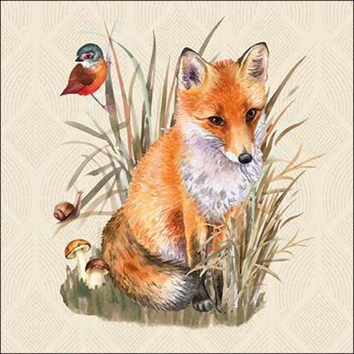 TOVAGLIOLI CON VOLPE 33X33CM 20PZ