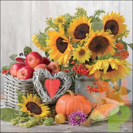 TOVAGLIOLI CESTO AUTUNNALE 33X33CM 20PZ