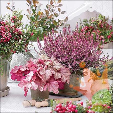 TOVAGLIOLI TERRAZZA CON FIORI 33X33CM 20PZ