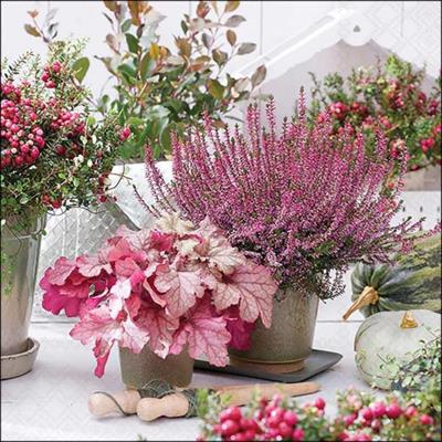 TOVAGLIOLI TERRAZZA CON FIORI 33X33CM 20PZ