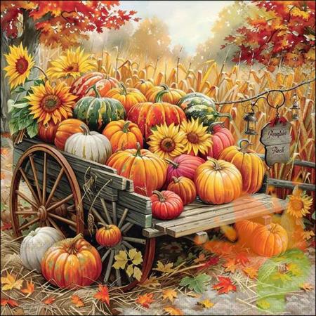 TOVAGLIOLI ZUCCHE 33X33CM 20PZ