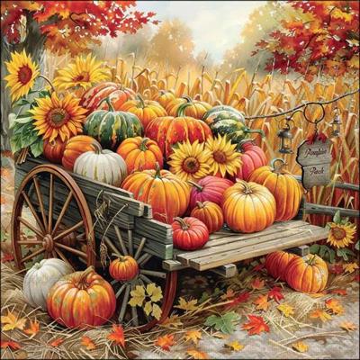 TOVAGLIOLI ZUCCHE 33X33CM 20PZ
