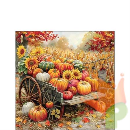 TOVAGLIOLI ZUCCHE 25X25CM 20PZ
