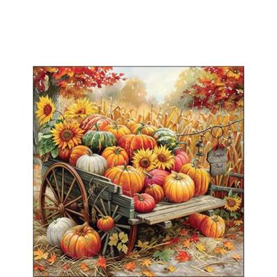 TOVAGLIOLI ZUCCHE 25X25CM 20PZ