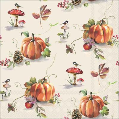 TOVAGLIOLI SPLENDORE AUTUNNALE 33X33CM 20PZ