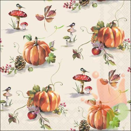 TOVAGLIOLI SPLENDORE AUTUNNALE 33X33CM 20PZ