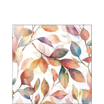 TOVAGLIOLI FOGLIE COLORATE 33X33CM 20PZ
