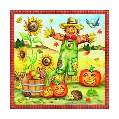 TOVAGLIOLI SPAVENTAPASSERI 33X33CM 20PZ