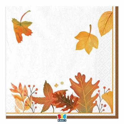 TOVAGLIOLI FOGLIE AUTUNNALI 33X33CM 16PZ