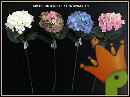ORTENSIA EXTRA SPRAY