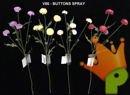 BUTTONS SPRAY