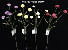 BUTTONS SPRAY