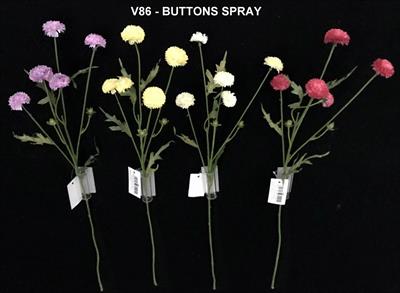BUTTONS SPRAY