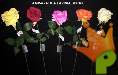 ROSA LAVINIA SPRAY