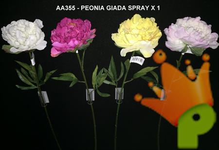 PEONIA GIADA SPRAY