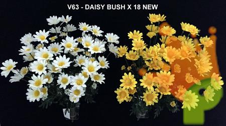 DAISY BUSH X18