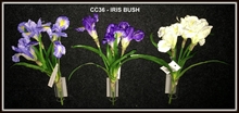 IRIS BUSH